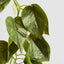 Potted Hanging Real Touch Scindapsus Bush 83cm