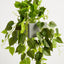 Potted Hanging Real Touch Scindapsus Bush 83cm