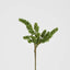 Succulent 37cm
