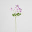 Sweetpea Spray 70cm Lavender
