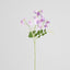 Sweetpea Spray 70cm Lavender
