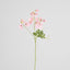 Sweetpea Spray 70cm Pink