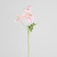 Sweetpea Spray 70cm Pink