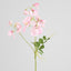 Sweetpea Spray 70cm Pink