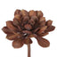 Succulent Large Burg (Set of 12)