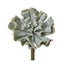 Wavy Succulent 20cm Grey