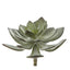 Succulent Pearl Pick 15cm Grey - Pack of 12