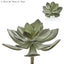 Succulent Pearl Pick 15cm Grey - Pack of 12