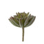 Succulent Spray Burgundy