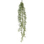 Succulent Hanging Vine 85cm - Pack of 12