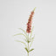 Veronica Speedwell Flower Stem 103cm Pink - Pack of 12