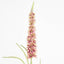 Veronica Speedwell Flower Stem 103cm Pink - Pack of 12