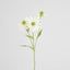 Black Eye Susan Stem 65cm White - Pack of 12