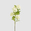 Snowball Spray White