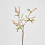Sage Stem 70cm Pink - Pack of 12