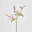 Sage Stem 70cm Pink - Pack of 12
