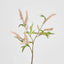 Sage Stem 70cm Pink - Pack of 12