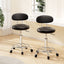 Artiss 2x Salon Stool Swivel Chair Backrest Black