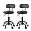 Artiss 2x Salon Stool Swivel Chair Backrest