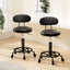 Artiss 2x Salon Stool Swivel Chair Backrest