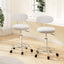 Artiss 2x Salon Stool Swivel Chair Backrest White