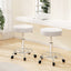 Artiss 2x Salon Stool Round Swivel Chair White