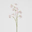 Jane Sweet Pea 60cm Pink