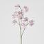 Jane Sweet Pea 60cm White & Purple - Pack of 12
