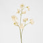 Jane Sweet Pea 60cm Off White - Pack of 12