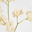 Jane Sweet Pea 60cm Off White - Pack of 12