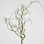 Twig Vine 109cm Dry Natural