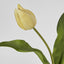 Soft Touch Tulip Stem Yellow - Pack of 12
