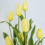 Soft Touch Tulip Stem Yellow - Pack of 12
