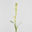 Tuberose Bud 80cm Cream & Green