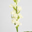 Tuberose Spray 80cm Cream