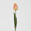 Liv Soft Touch Tulip Orange
45cm (Set of 60)