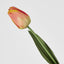 Liv Soft Touch Tulip Orange
45cm (Set of 60)