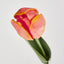 Liv Soft Touch Tulip Orange
45cm (Set of 60)