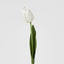 Liv Soft Touch Tulip White
45cm - Pack of 60