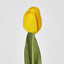 Liv Tulip 45cm Yellow