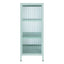 Ella 2 Door Modern Metal Cabinet Sage