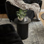Haven Side Table Black