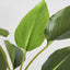 Bird of Paradise Real Touch 64cm