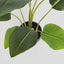 Bird of Paradise Real Touch 64cm