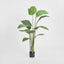 Artificial 150cm Bird of Paradise Faux Tree + Pot - House of Isabella AU