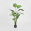Artificial 150cm Bird of Paradise Faux Tree + Pot - House of Isabella AU
