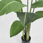Artificial 150cm Bird of Paradise Faux Tree + Pot - House of Isabella AU