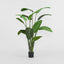 Artificial Bird of Paradise 13 Lvs 1.8m - House of Isabella AU