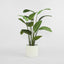 Artificial Bird of Paradise 13 Lvs 1.8m - House of Isabella AU