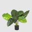 Philo Tree Real Touch 9 Lvs 68cm - House of Isabella AU